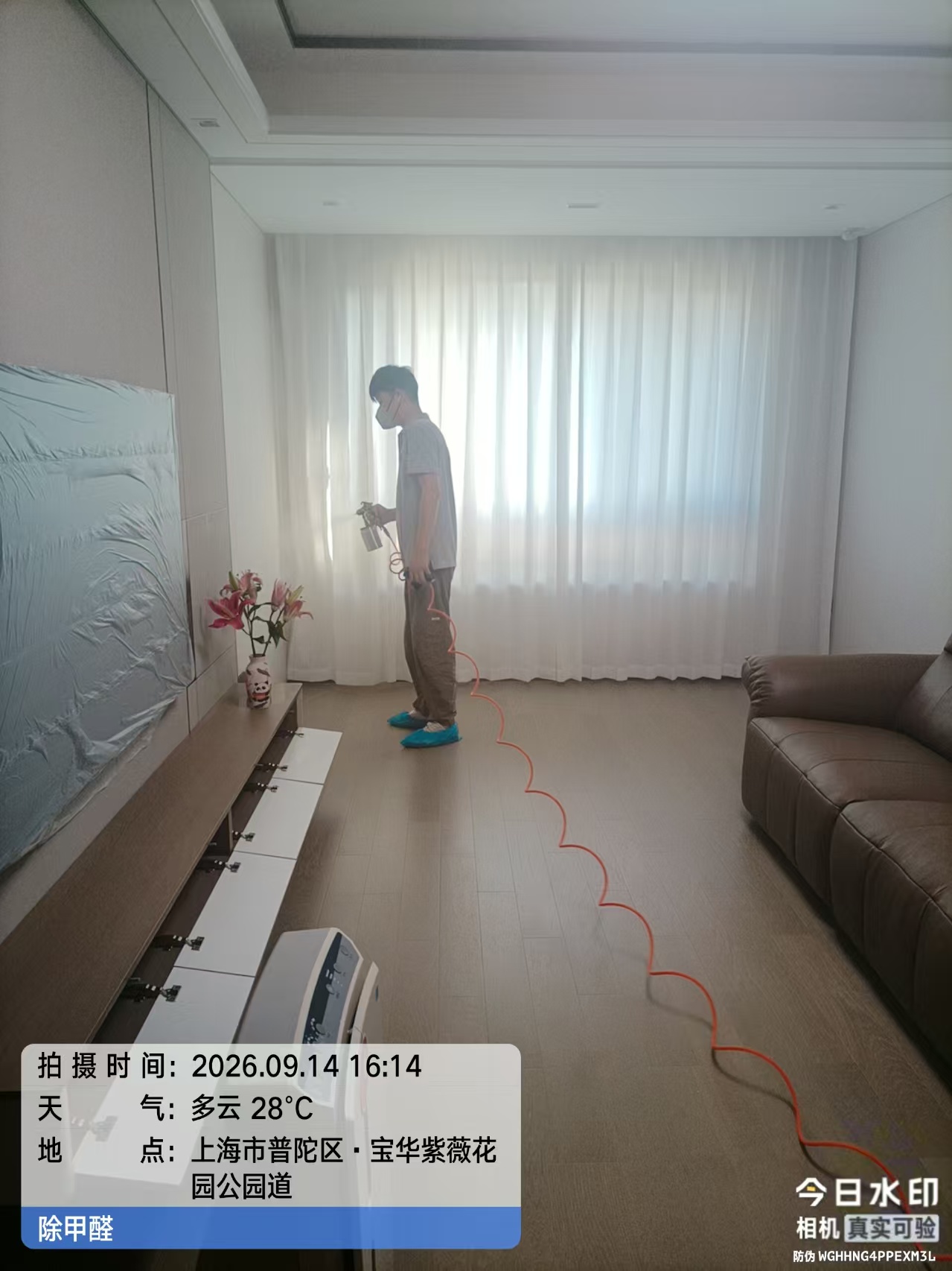 客厅窗帘与电视柜现场施工